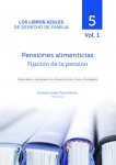 Pensiones alimenticias vignette