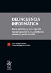 Delincuencia informática vignette