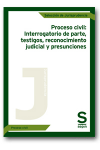 Proceso civil vignette