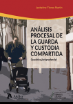 Análisis procesal de la guarda y custodia compartida vignette