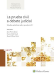 La prueba civil a debate judicial vignette