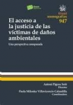El acceso a la justícia de las víctimas de daños ambientales vignette