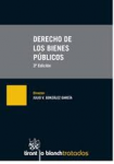 Derecho de los bienes públicos vignette