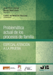 Problemática actual de los procesos de familia vignette