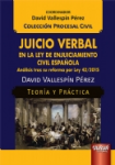 Juicio verbal en la Ley de enjuiciamiento civil española vignette
